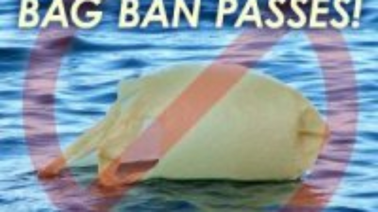 bag-ban