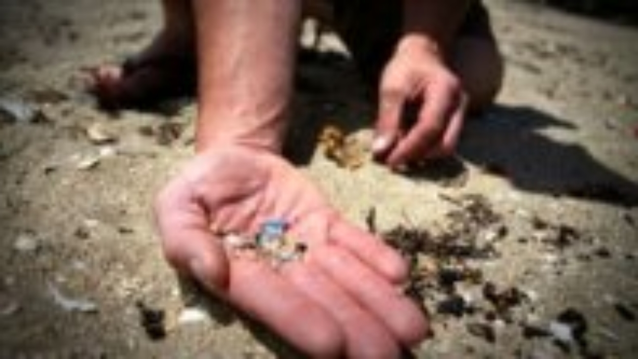 beach_micro2