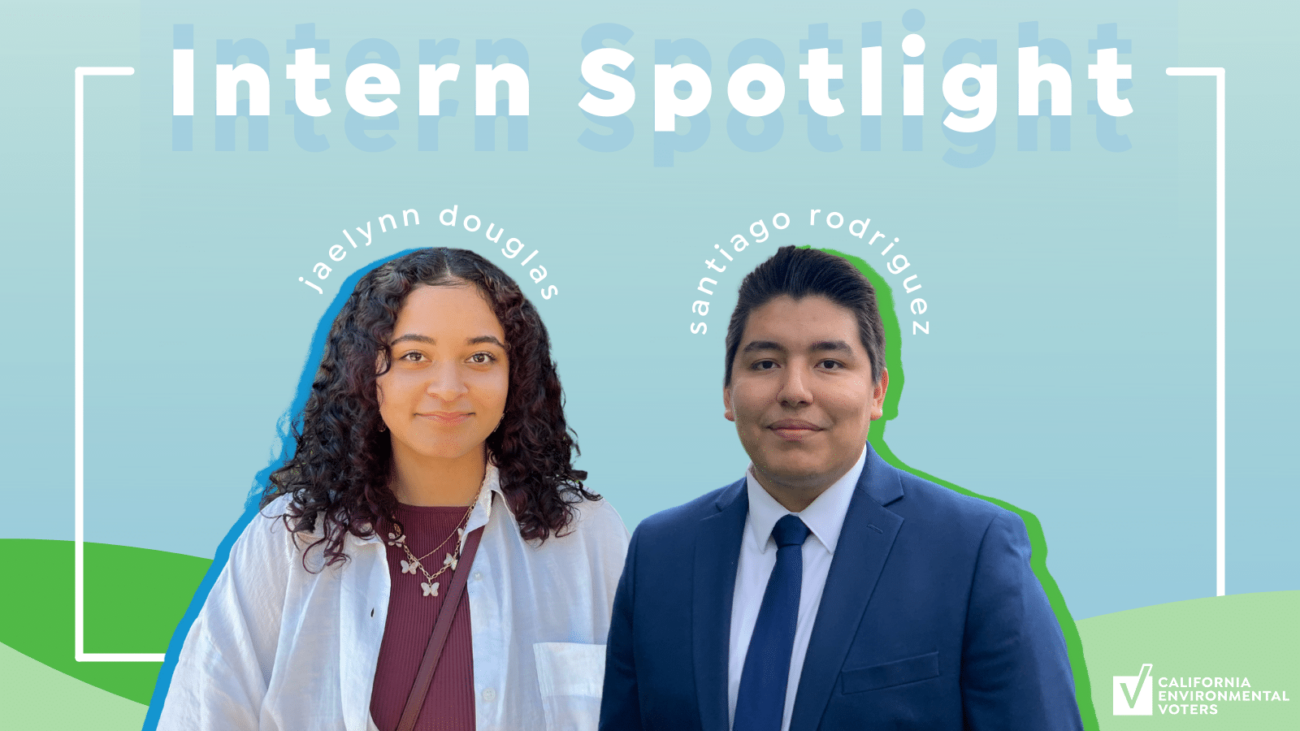 Intern Spotlight